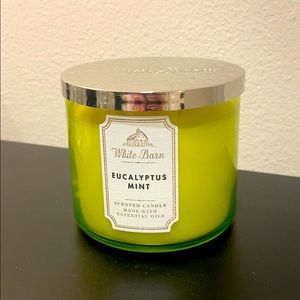 Eucalyptus Mint 3-wick candle